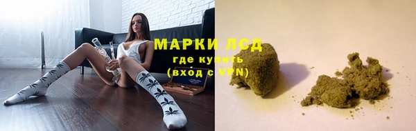 ПСИЛОЦИБИНОВЫЕ ГРИБЫ Иннополис