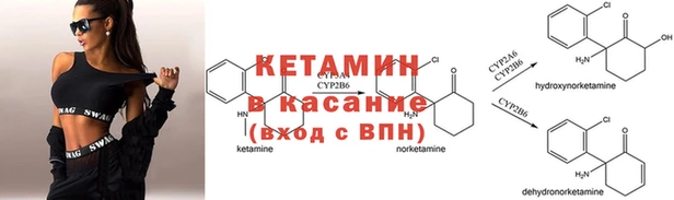 ПСИЛОЦИБИНОВЫЕ ГРИБЫ Иннополис