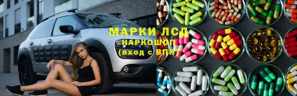 ПСИЛОЦИБИНОВЫЕ ГРИБЫ Иннополис