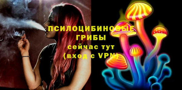 метадон Сатка