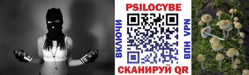 Купить закладки  Вельск  Галлюциногенные грибы Cubensis 