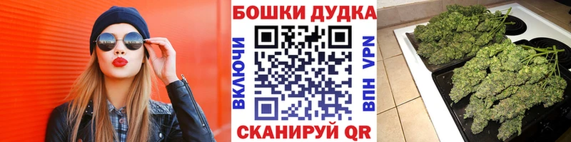 Бошки Шишки White Widow Вельск